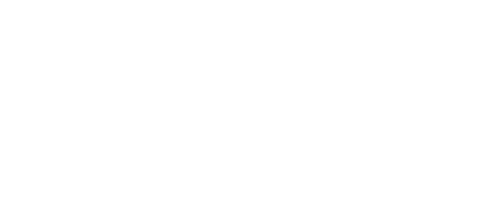 WITT Series 2