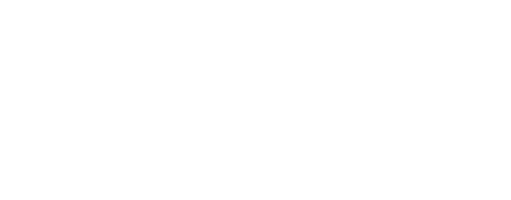Wilson Audio Acoustic Diode
