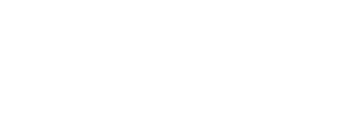 Signature Subsonic